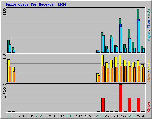 Daily usage for December 2024
