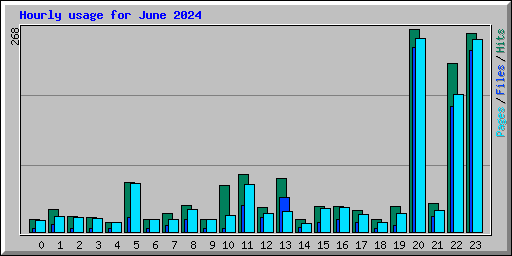 Hourly usage for June 2024
