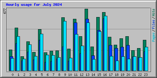Hourly usage for July 2024