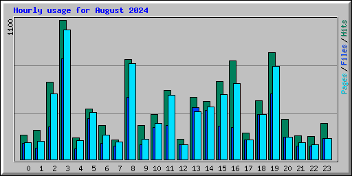 Hourly usage for August 2024