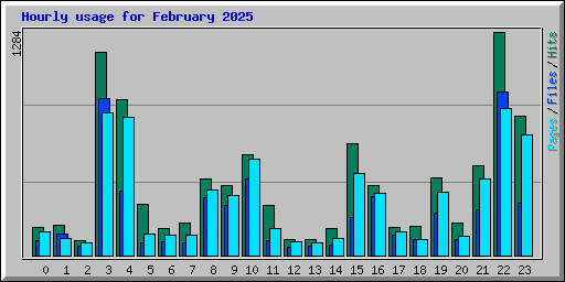 Hourly usage for February 2025